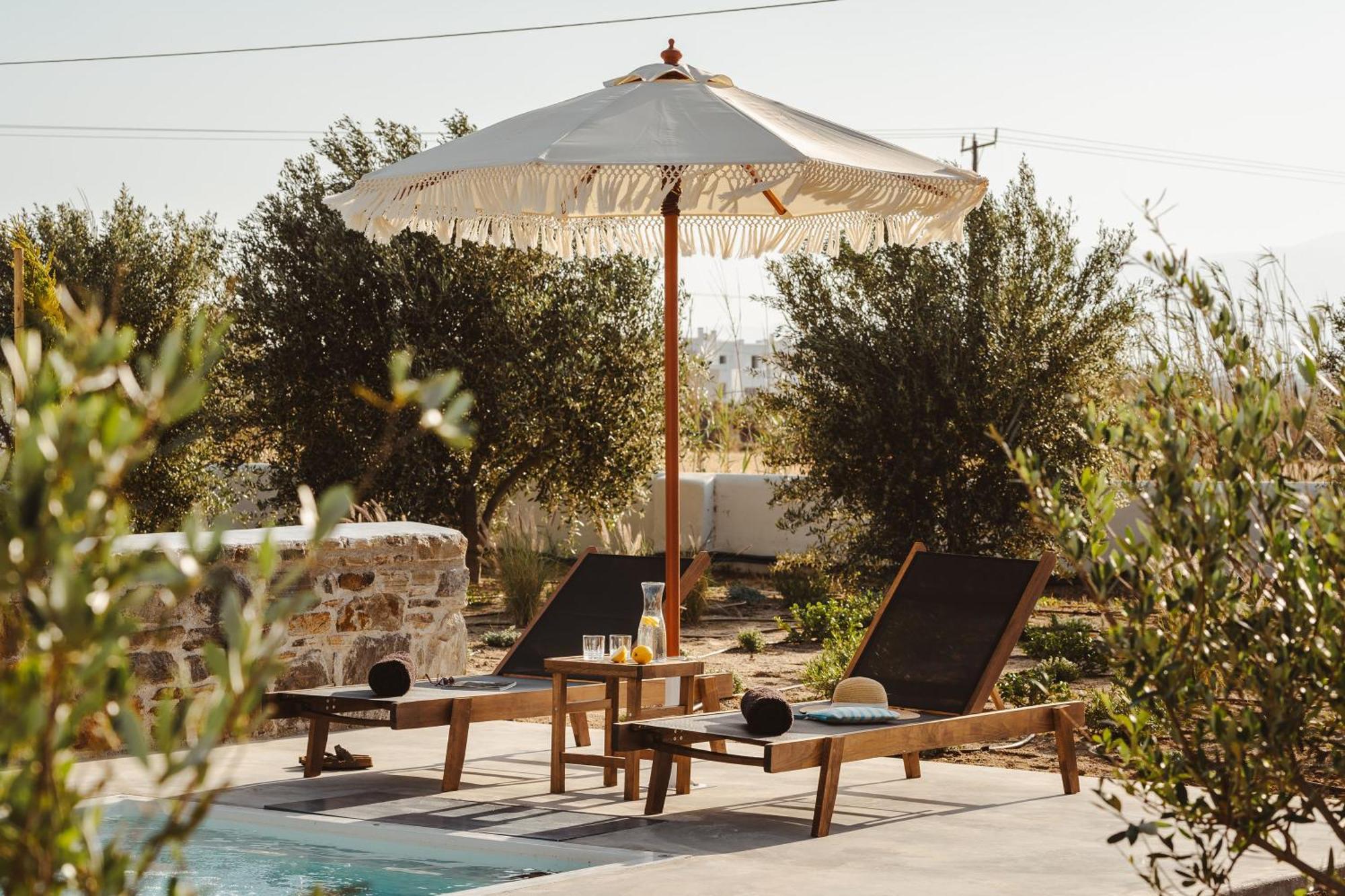 Santo Concept Luxury Villas Agia Anna (Naxos) Exterior foto